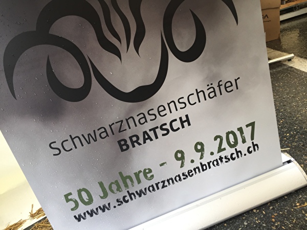 50 Jahre Schwarznasenschafe Bratsch 