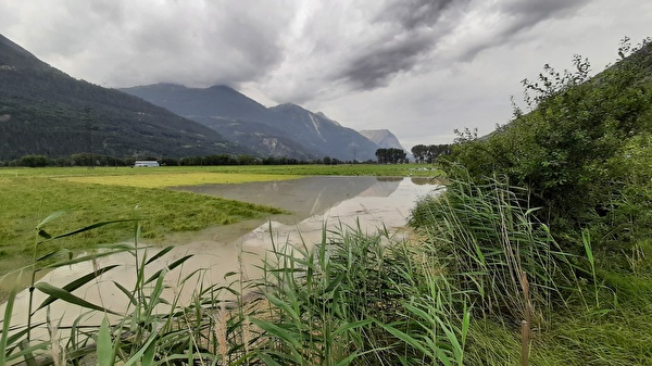 Hochwasser Landwirtschaft