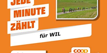 News Bild