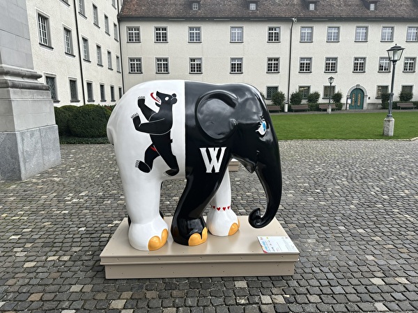 Elefant Wilma steht auf dem Klosterplatz