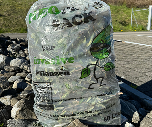 neophytensack