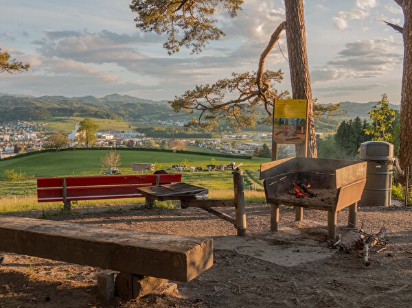 Foto der Grillstelle Burgstall - Hofberg  mit Blick auf Wil