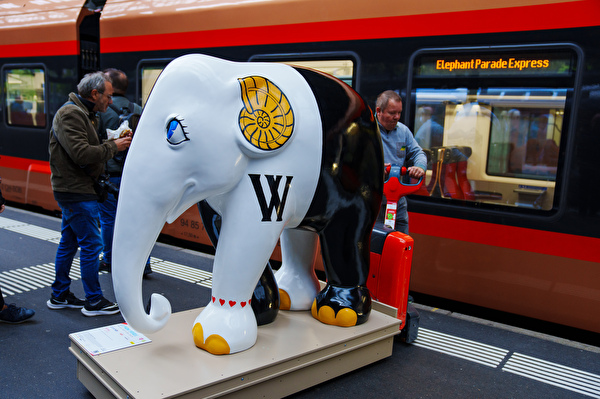 Elefantenskulptur Wilma