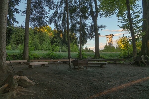 Feuerstelle Bergwald - Hofberg mit Blick zum Wiler Turm