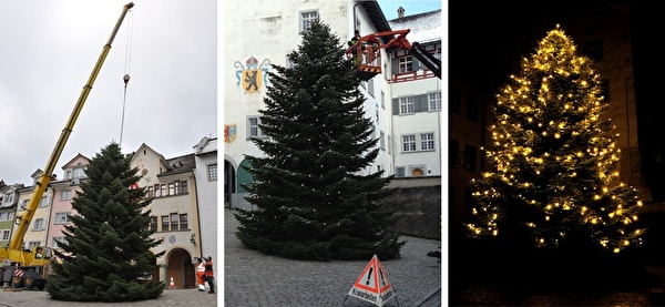Aufbau und Schmücken des Weihnachtsbaums auf dem Hofplatz