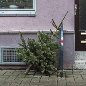 Christbaumentsorgung
