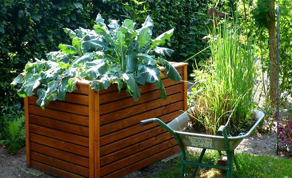 hochbeet, GartenJeden