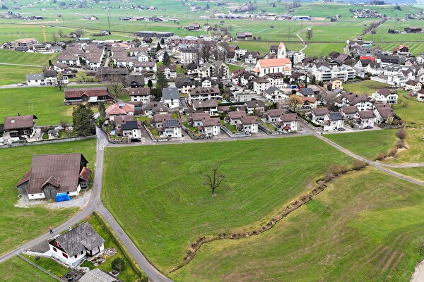 Adlerwis