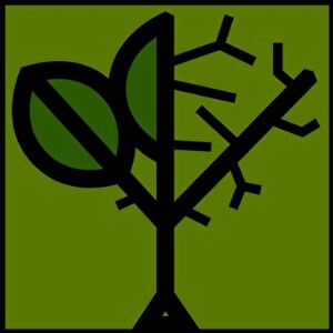 Bild Äste und Sträucher