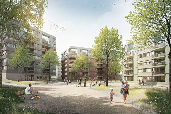 Arealentwicklung Sonne