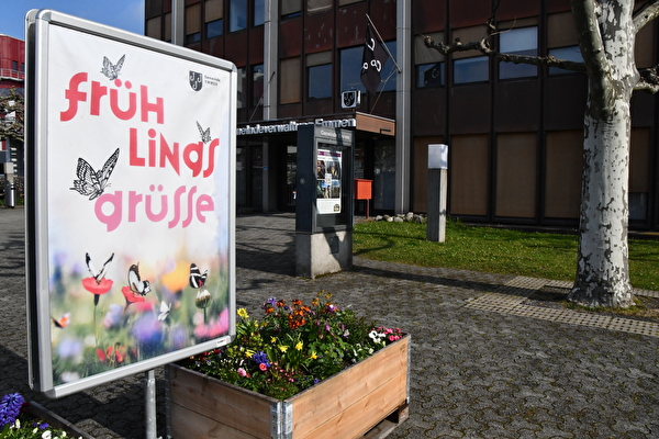 Frühlingsgrüsse für Emmen