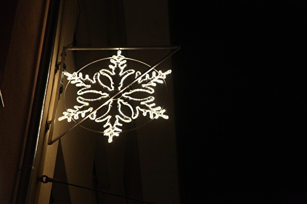 Weihnachtsstern