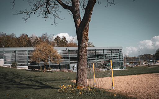 Nussbaum im Freibad Mooshüsli.