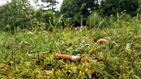 Zigarettenstummel liegt in der Natur.