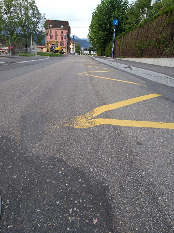 Belagsarbeiten Hochdorferstrasse