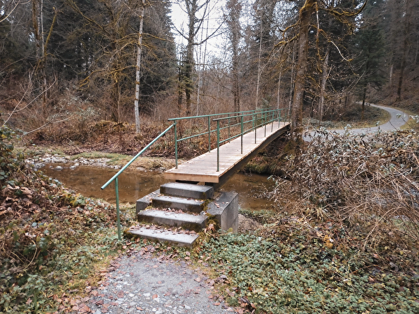 Eine Brücke im Wald