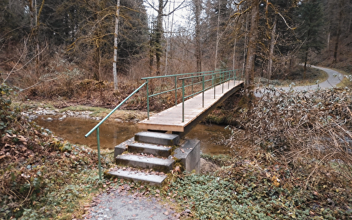 Eine Brücke im Wald