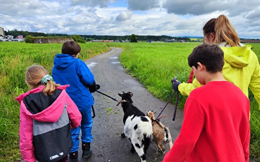 Vier Kinder mit zwei Ziegen am Spazieren.