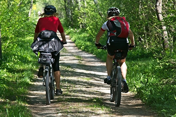Biken im Wald