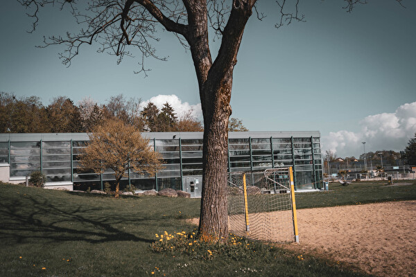Nussbaum im Freibad Mooshüsli.