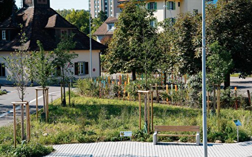 Eine Wildblumenwiese zwischen Strassen.
