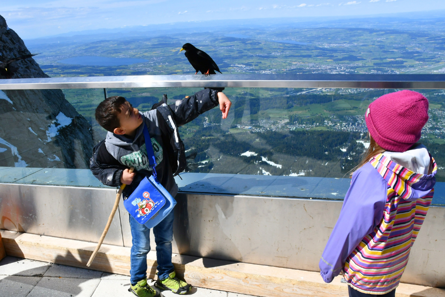 Kinder auf dem Pilatus