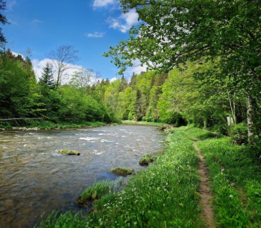 sihlerbenisweg