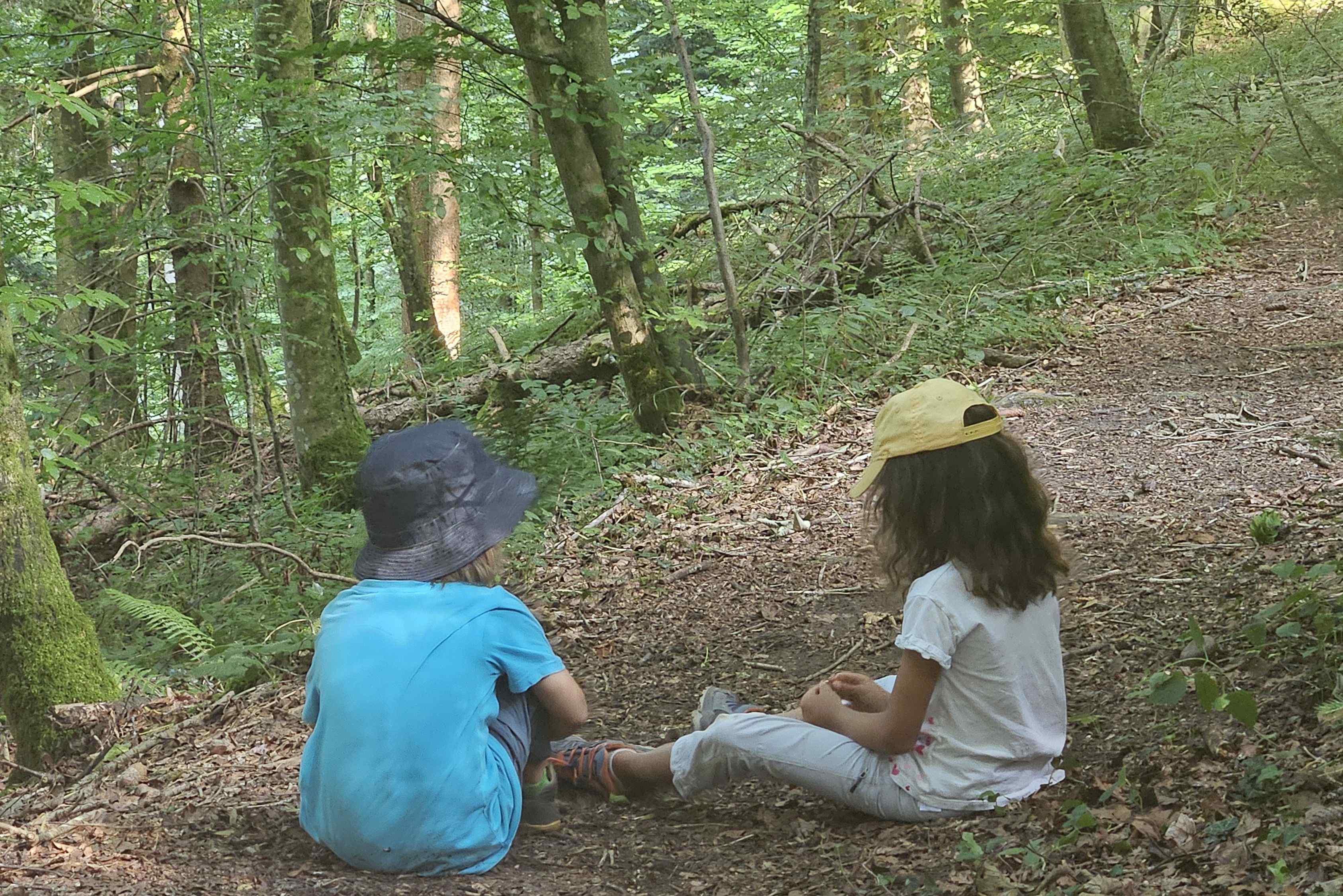 Stiftung Wildnispark Zürich