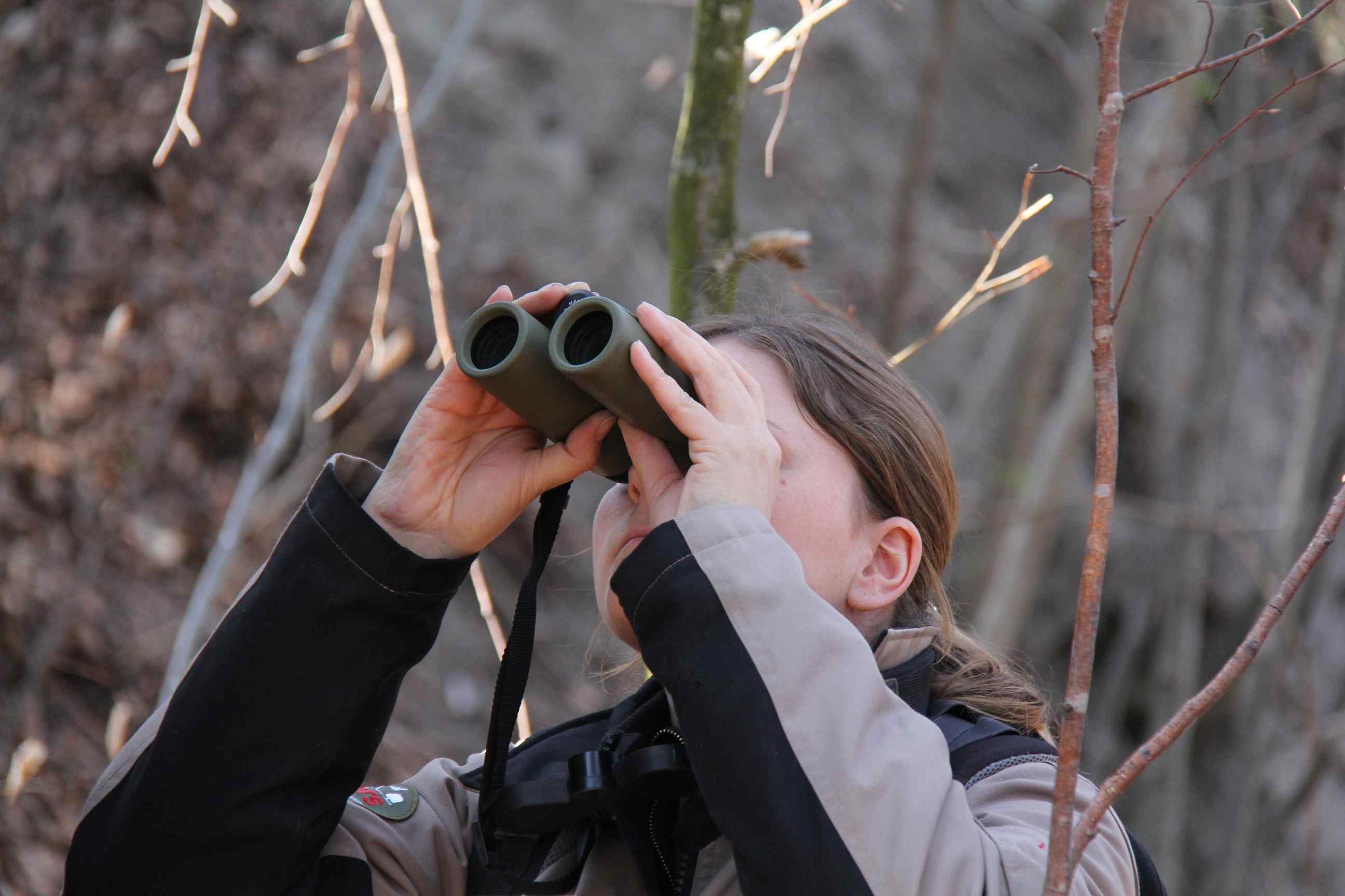 Stiftung Wildnispark Zürich