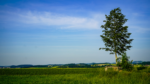 Colline du Torry