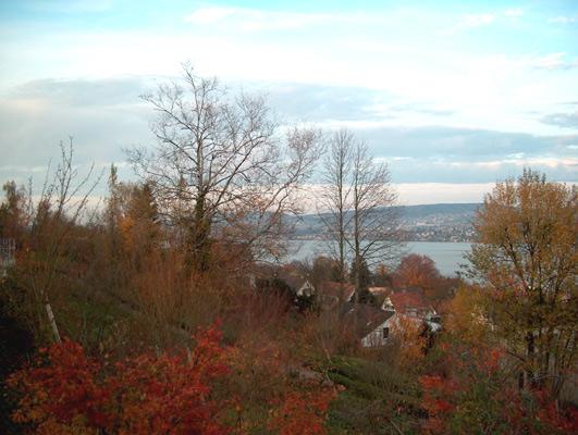 Blick seeabwärts von der Swiss Re aus.