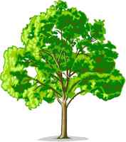 Signet Baum und Gartenpflege Schüpbach