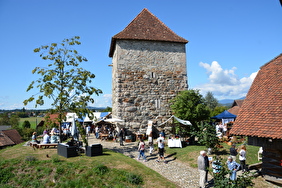 Museum Wasseramt Turm - Turmsunntig