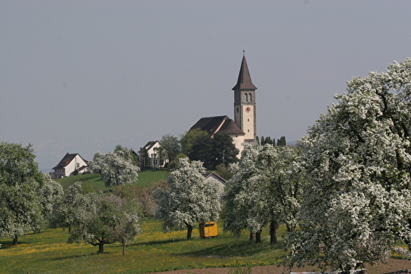 Katholische Kirche Steinebrunn