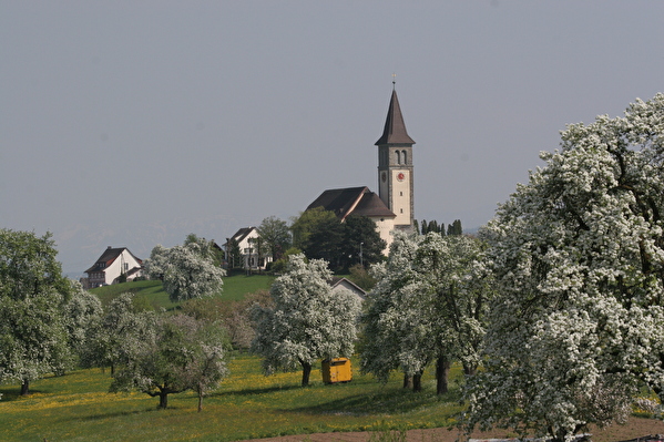 Katholische Kirche Steinebrunn
