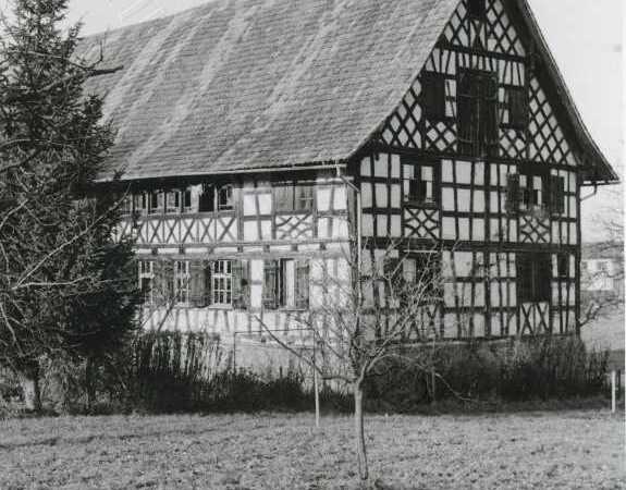 Haus in Scherzingen