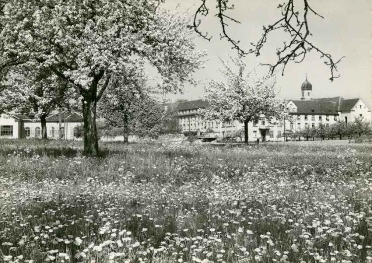 1959