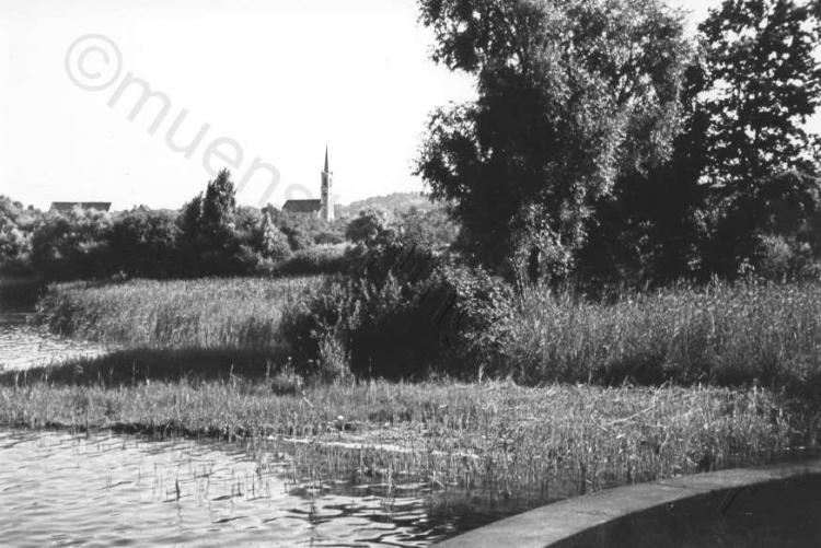 Seeufer beim Hafenfeld