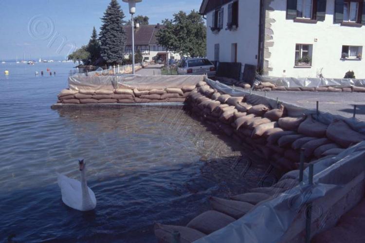 1999 / Seeweg mit Hochwasserverbauung