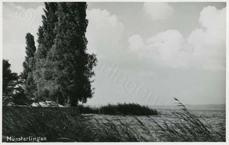 beim Hafenfeld am See