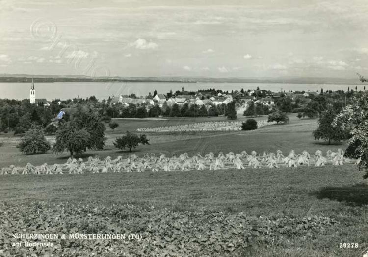 1968, vom Waldrand aus