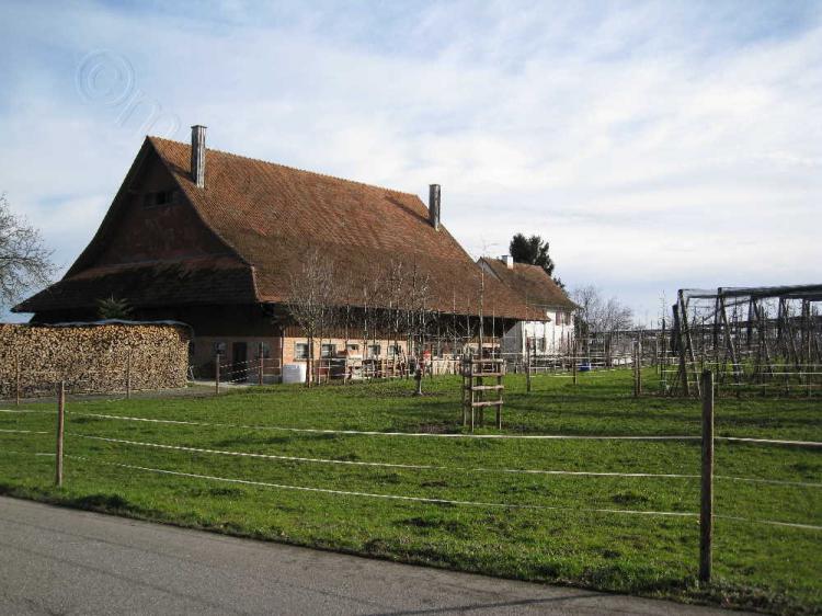 2015 / Waldhof