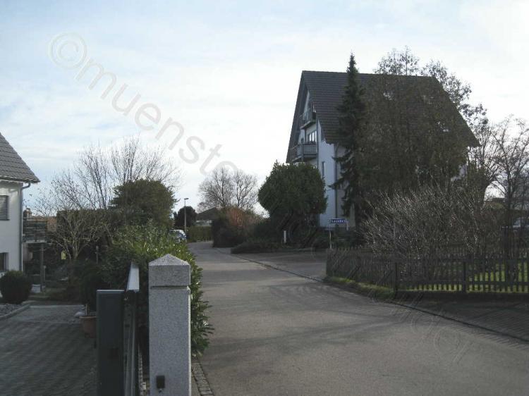 2015 / Oberer Seeweg