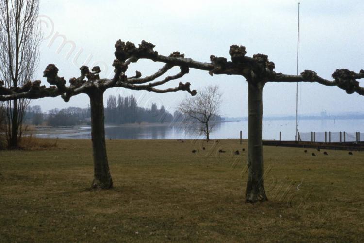 ca. 1985