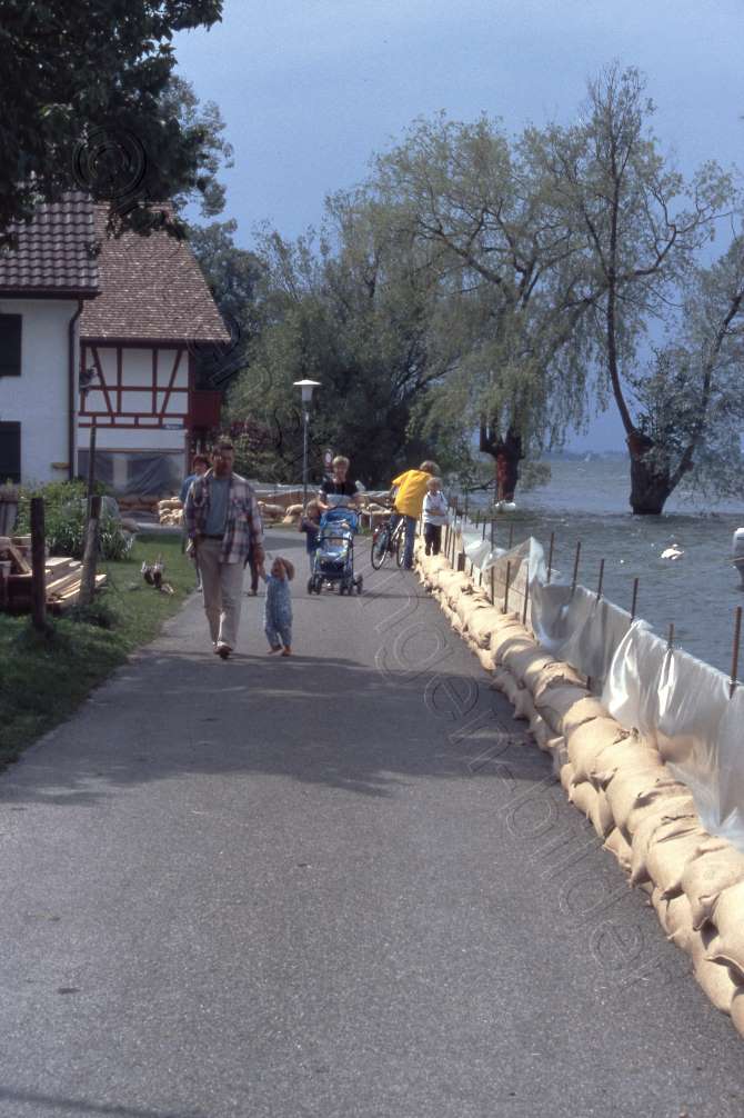 1999 / Seeweg mit Hochwasserverbauung