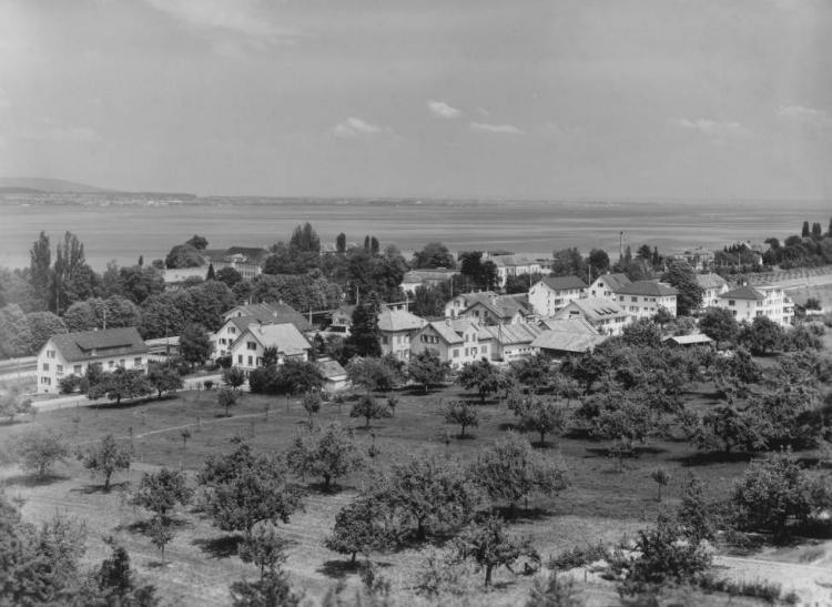 Neusatz, Rebhalde