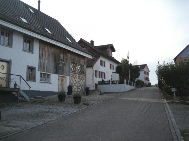 2015 / Seedorfstrasse