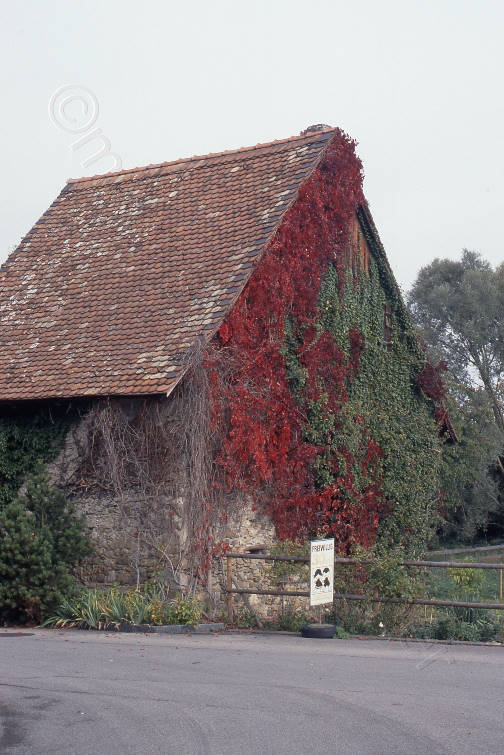 2004, Spycher