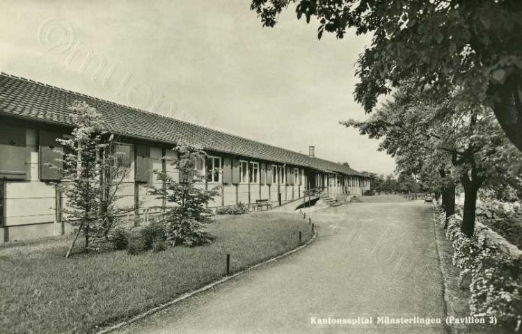 1947, Pavillon 3