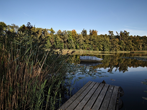 Steinibühlweiher